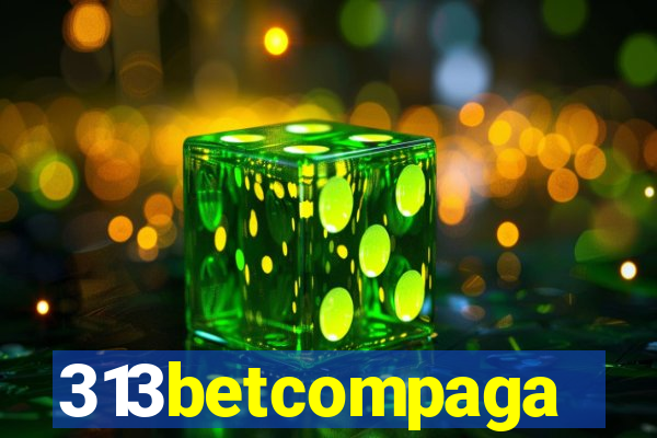 313betcompaga