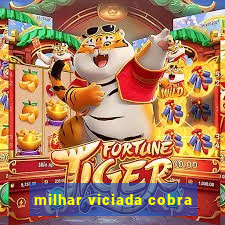 milhar viciada cobra