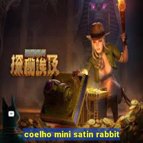 coelho mini satin rabbit