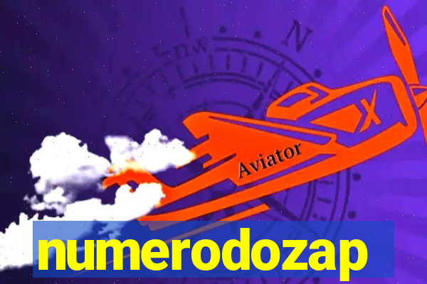 numerodozap