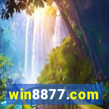 win8877.com